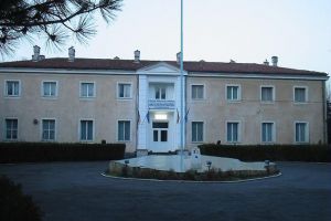 Oficial de la Garda de Coasta despre problema maidanezilor din curtea institutiei. Cu ce alte probleme se confrunta institutia 