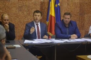 Se aşteptă decizia în cazul a doisprezece urşi