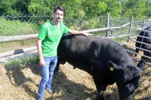 „Gherguţ’s Ranch” de la Prăjeşti