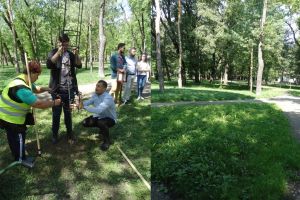 Capitala Tineretului a rămas fără copac