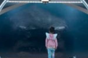 Ți-e dor să ţi se facă părul măciucă? HAI LA FILM săptămâna asta!