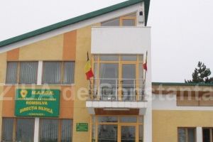 Licitatie la Romsilva RA pentru ocolul silvic Baneasa 