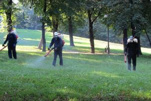 Două etape de dezinsecţie pe domeniul public, în perioada 7-17 august