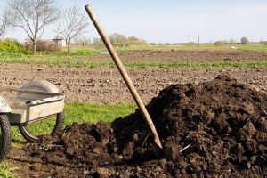 Agricultura pe înţelesul tuturor – Gunoiul de grajd – o comoară a fermierilor