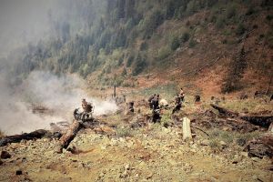 Incendiile forestiere în pădurile de stat, de şapte ori mai puţine decât anul trecut