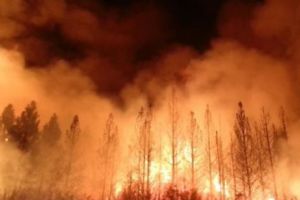 FOCUL SĂLBATIC din California, considerat cel mai EXTINS din istoria statului!