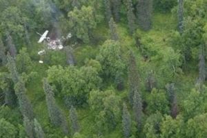 TRAGEDIE în lumea muzicală! A MURIT după ce AVIONUL în care se afla s-a PRĂBUȘIT