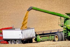 Oamenii de afaceri solicită introducerea salariului minim orar în locul celui minim lunar