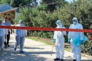 CONTROVERSE după ancheta EVZ privind Pesta Porcină Africană. „Un IMBECIL!” 