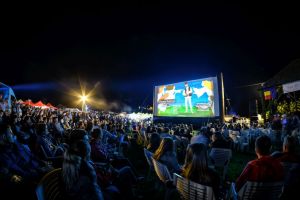 Vibraţia fluierului sus, pe munte la Jina