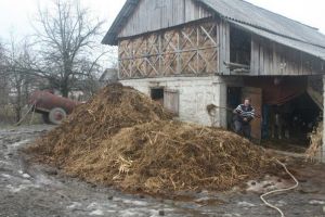 Agricultura pe înţelesul tuturor – Gunoiul de grajd – o comoară a fermierilor