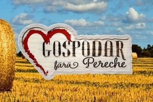 Câine rău: O echipă Pro TV a ajuns la Urgenţe, la Spitalul Judeţean din Oradea