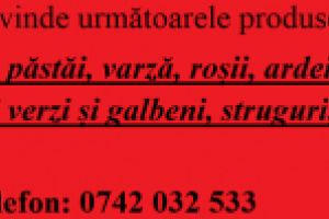 II Zamfir Simona Nicoleta, din comuna Sadova judeţul Dolj, vinde următoarele produse agricole