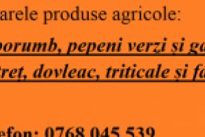 II Cioc Atena din comuna Sadova judeţul Dolj vinde următoarele produse agricole: