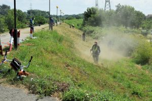 Florisalul, ,,dat la o parte”. O firmă din Bucureşti preia controlul în mai multe zone din Satu Mare