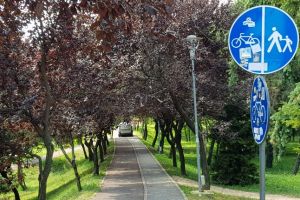 Cu masina pe trotuarul si pista de biciclete din tunelul de ciresi japonezi aflat in spatele Catedralei