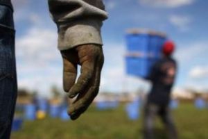 Ministrul italian de Interne cere României să limiteze migraţia ”sclavilor” în Italia