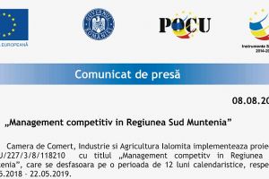 „Management competitiv în Regiunea Sud Muntenia”