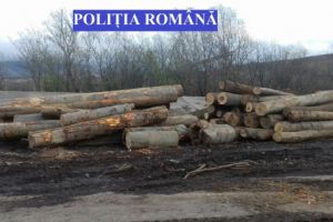 Material lemnos confiscat
