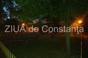 Operatiune de dezinsectie in Constanta. Cand si in ce zone se va actiona