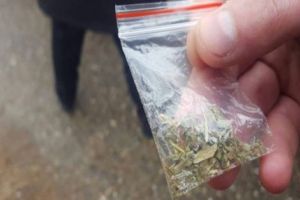 În Trivale se fumează „iarbă” fără nicio fereală