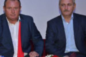 Mocioalcă, despre Dragnea: „Avem parte de un conducător care ştie ce vrea şi suntem cu el”