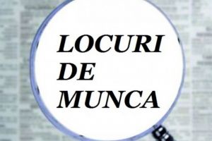 Atenţie români! Se fac angajări in strainatate. In ce ţară sunt cele mai multe locuri de muncă vacante