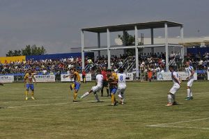 Bogoi are încredere în panduri: “Au şanse să evolueze la nivel înalt”