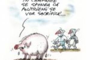 Insectarul cu nă(l)uci 9 august 2018