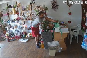 VIDEO. Filmat în timp ce a furat dintr-o florărie din Satu Mare
