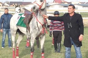 Cursele de trap revin pe Hipodromul Ploieşti