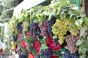 Judeţul Harghita prezent la Festivalul Naţional al Strugurelui, din Republica Moldova