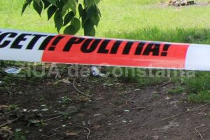 Caz socant. O fetita de 13 ani este suspectata ca si-a injunghiat bunica. In ce stare este victima