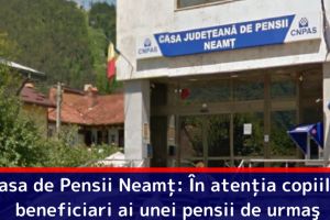 Casa Judeţeană de Pensii Neamţ: În atenţia copiilor beneficiari ai unei pensii de urmaş