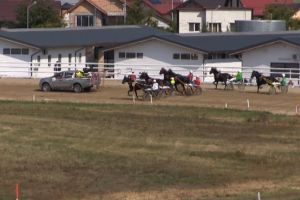 Cu trap, dar fara galop!