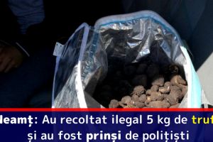 Neamţ: Au recoltat ilegal 5 kg de trufe şi au fost prinşi de poliţişti