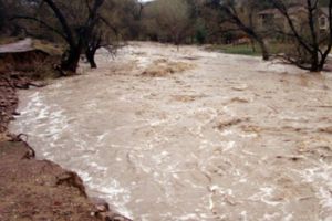 Cod portocaliu de inundaţii în Bihor