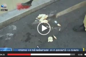 REVOLTATOR! Aşa-zişii săraci aruncă ciorba pe asfalt pe motiv ca nu e suficientă carne înăuntru iar pâinea nu e suficient de pufoasă – VIDEO