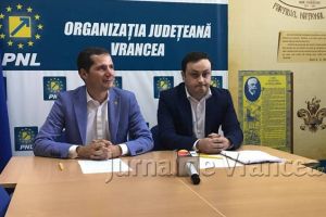 Proiect: departament pentru relaţia cu Diaspora, la Consiliul Judeţean