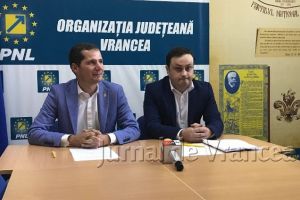 Proiect: departament pentru relaţia cu Diaspora, la Consiliul Judeţean