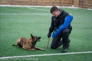 Poliţistul care duce dresajul canin la nivel de artă – de la depistarea drogurilor, la scena de teatru