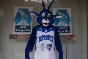 ACS Târgu Jiu, provocare pentru fani