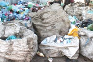 Captura record de peturi in cartierul Bereasca