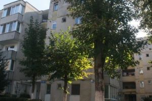 Legi noi mai stricte vor taxa rău-platnicii la întreţinere