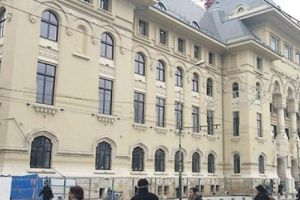 Primăria şicanează firma de  dezinsecţie, pe banii noştri! Nu aprobă tratamentele, iar pe noi ne rup ţânţarii!