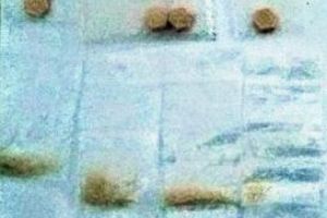 Tineri prinsi in flagrant de jandarmi la Vama Veche. Ce au gasit militarii asupra suspectilor 