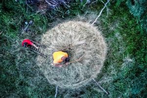 Discover Bihor: 10 fotografi de top au surprins destinaţii cu potenţial turistic din judeţ! - IMAGINI IMPRESIONANTE