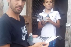 Campionatul porumbeilor voiajori: Ionuţ Deac câştigă etapa de maraton naţional Berlin, iar Bochiş Samuel etapa de viteză-demifond Paprika