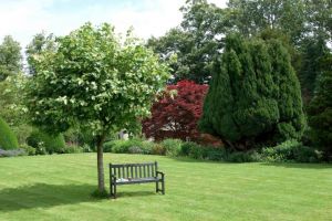 ”Methamorphosis”, proiect dedicat amenajării unei zone atractive pentru copii – Pajişte cu flori, livadă, umbrar şi chiar o mică grădină de legume, în Cetatea Alba Carolina