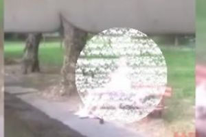 CLUJ: ”Iubăreţii” care făceau sex în parc, prinşi de poliţişti. Au 70 şi 61 de ani